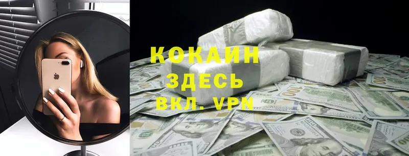 COCAIN Fish Scale  даркнет состав  Камызяк 